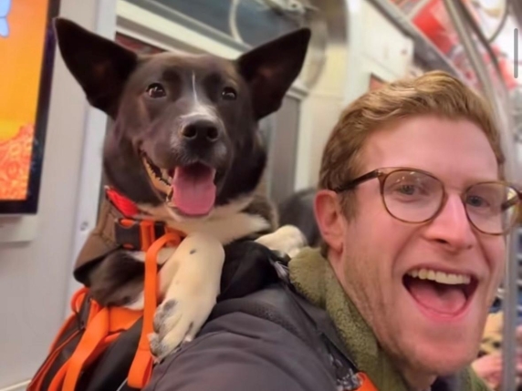 Brian porta i cani dei rifugi in metropolitana per aumentare le possibilità di adozione