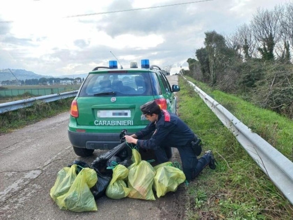 Cimitero degli orrori, salgono a 28 i resti di cani e gatti ritrovati tra Loreto e Recanati