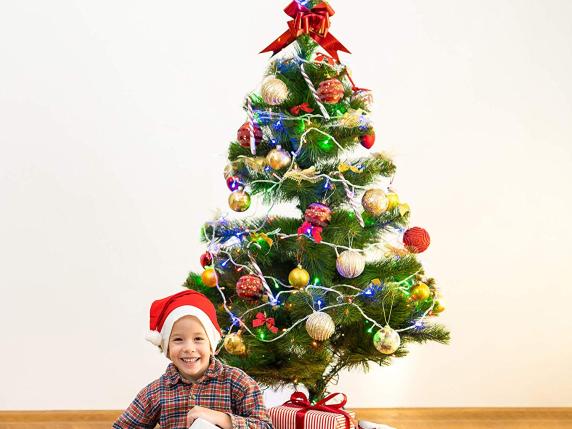 
                                    
                                Decoriamo l'albero di Natale, dalle classiche palline alle luci che si controllano da smartphone