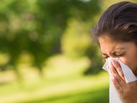 
                                    
                                Primavera e allergia: i dispositivi tecnologici per respirare meglio