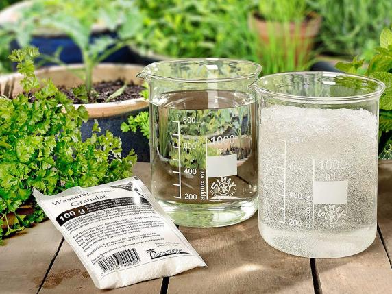 
                                    
                                Acquagel, l’idrogel di acqua solida per non fare morire le piante durante le ferie