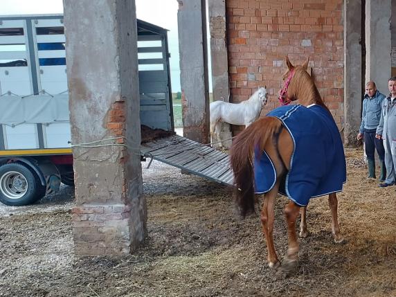 SAN PIETRO INFINE – Uomo morto trovato nelle strade di campagna di  Pietraia. I carabinieri indagano