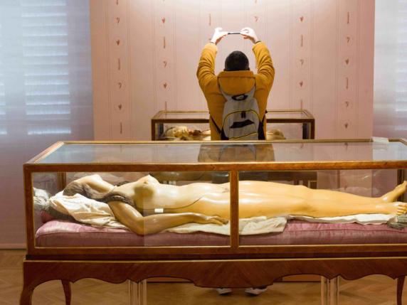 Viaggio nel museo della Specola a Firenze: dalle cere