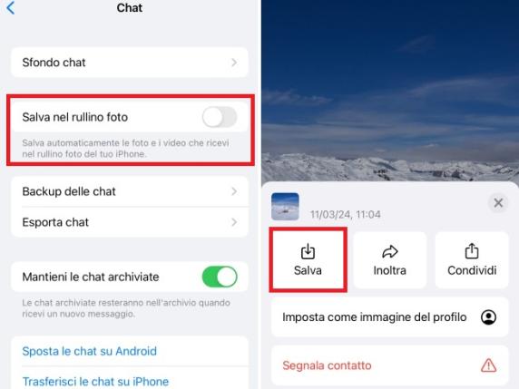 Perch su iPhone le foto di WhatsApp adesso vengono salvate due