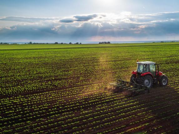 Agricoltura e ambiente, Garbelli (Confagricoltura): «Le biotecnologie sono la soluzione per produrre di più con meno»