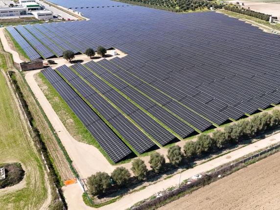 Rinnovabili, stop al mega parco solare a Palmadula: la Sardegna (e Roma) bloccano i pannelli cinesi di Chint Solar