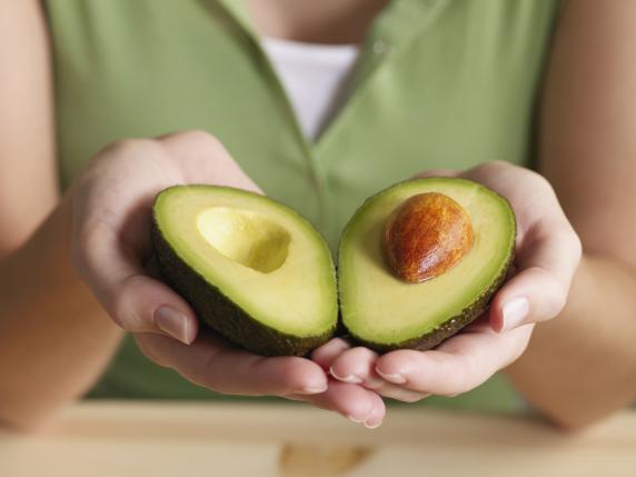 Avocado, mango e caffè: il boom in Sicilia delle coltivazioni tropicali. «Colpa del cambiamento climatico»