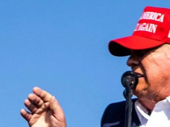 «Guardate questo grafico»: il movimento all'ultimo istante che ha salvato TrumpChi è Kimberly Cheatle, capo degli 007