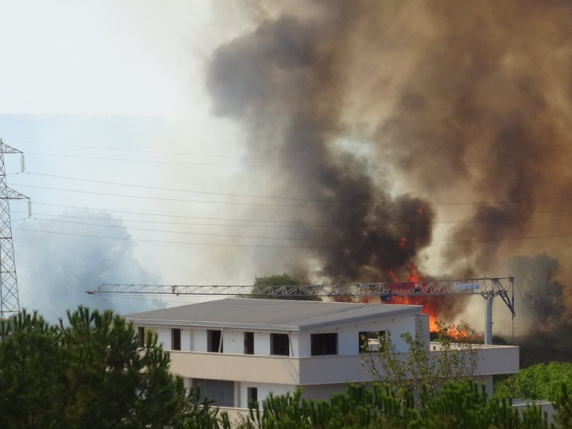 Roma, mega incendio nel «pratone» di Cinecittà: 4 soccorritori con ustioni gravi 