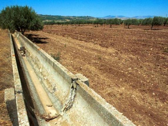 Sicilia, la desertificazione è già in atto: De Vito (consulente Onu) spiega gli effetti del cambiamento climatico