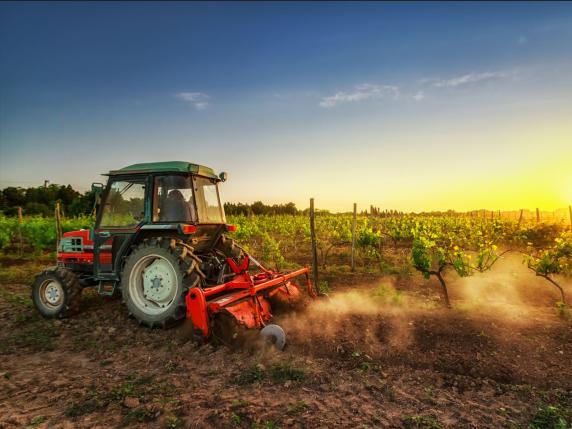 Il servizio civile agricolo si farà, c’è il bando per i progetti: quanto si prende, come funziona