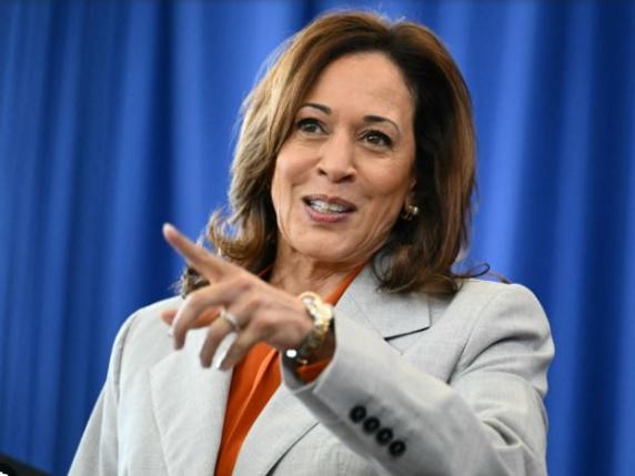 Kamala Harris rinuncia al Green New Deal. Mentre Trump, sostenuto da Musk, si converte all'auto elettrica