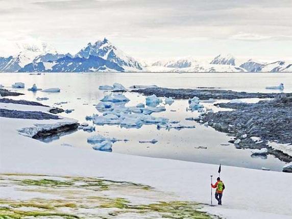 Antartide sempre più verde per il riscaldamento globale: in 35 anni la vegetazione è aumentata di oltre dieci volte