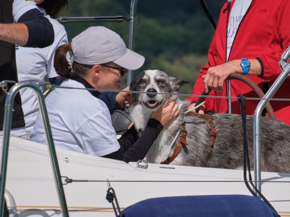 Cani in barca a vela, vento in poppa alla solidarietà. Una tonnellata di cibo per gli ospiti dei rifugi