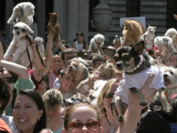 Noi e gli animali domestici, al Pet Welfare Forum tre giorni dedicati al benessere di cani, gatti and co.