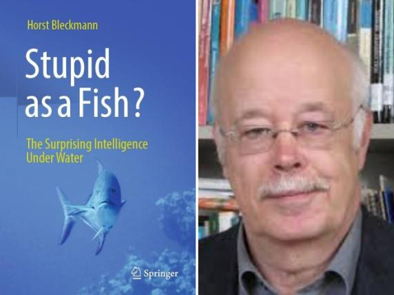 «Stupido come un pesce»? Alla scoperta dell’intelligenza di un animale sottovalutato