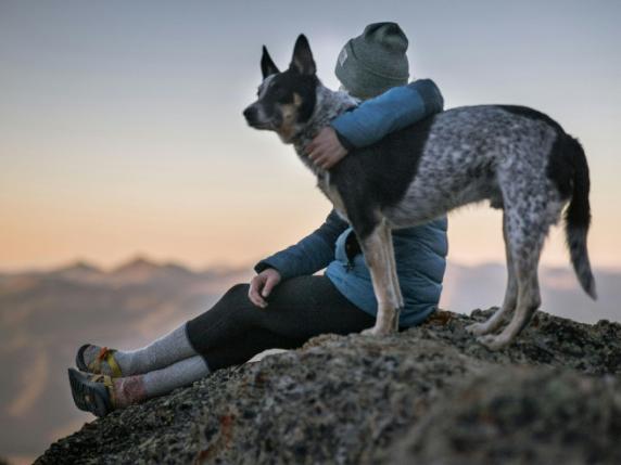 Avere un cane ha (molti) più vantaggi che svantaggi: lo certifica uno studio scientifico su 246 proprietari