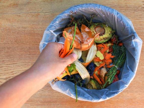 Spreco alimentare, i piemontesi gettano frutta, pane e verdure per 27 chili di cibo all’anno