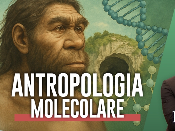 Antropologia molecolare: come attraverso il Dna capiamo che le razze non esistono