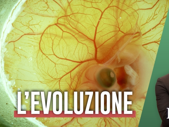 Chi siamo, da dove veniamo: ecco il racconto di Darwin