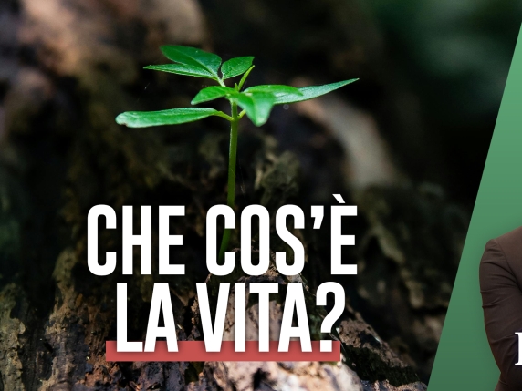 Così è nata la vita:  il grande thriller della biologia