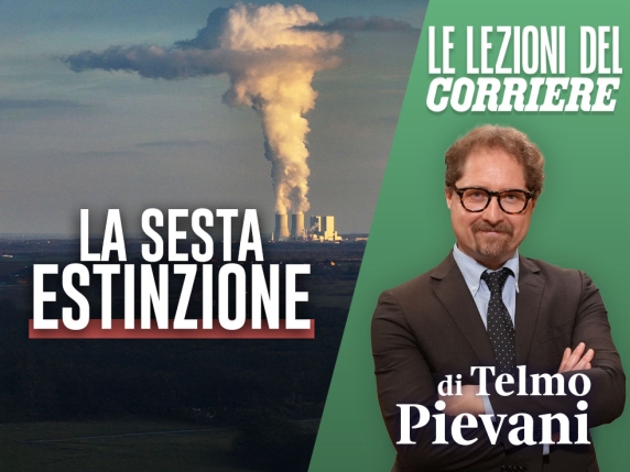 La sesta estinzione di massa è in corso: cause umane e come fermarla