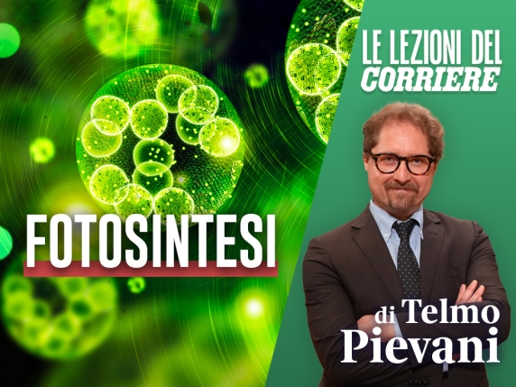 Ma cos'è davvero la fotosintesi?