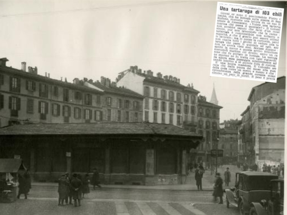 La tartaruga gigante (103 chili): la ordinò un pescivendolo nel 1923 «per curiosità» e diventò un'icona milanese