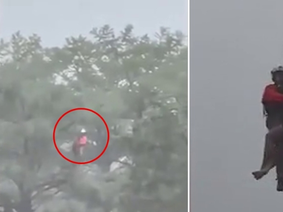 Texas, una donna si salva dall'alluvione arrampicandosi sopra un albero