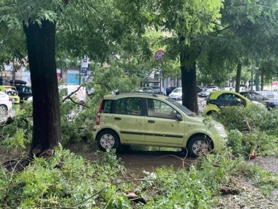 Grandine e rami che cadono: quali assicurazione bisogna fare per essere coperti dai danni?