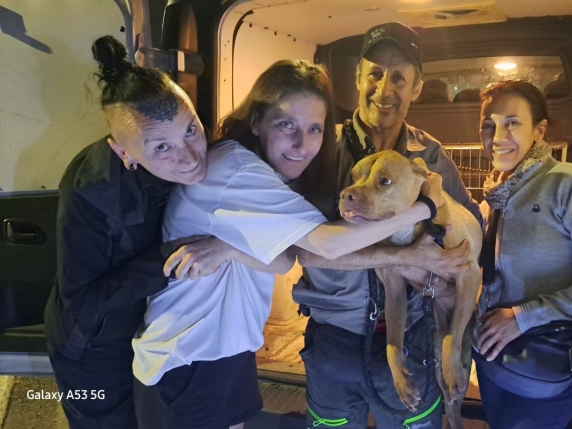 Toffee, la cagnolina ritrovata dopo 3 mesi dal «pet detective»