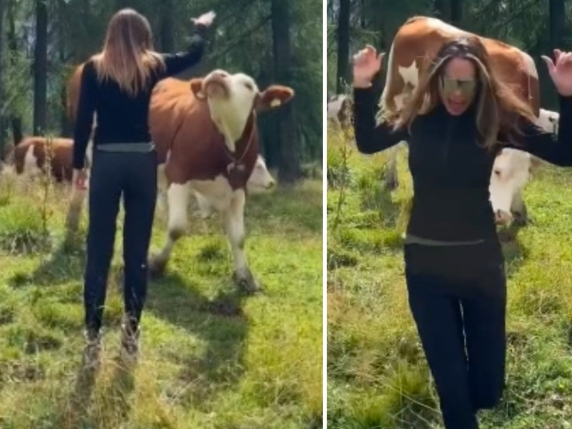 Vacanze a Cortina, Ilary Blasi (quasi) come Heidi: gioca con una mucca, ma scappa terrorizzata Video