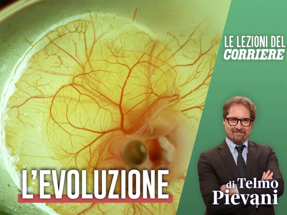 La Teoria dell'Evoluzione di Darwin: Come Tutti gli Esseri Viventi Sono Connessi tra Loro