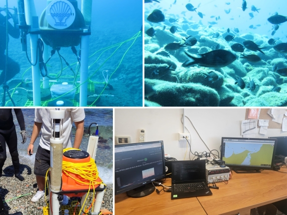 Dal 'canto' dei gamberetti all'impatto delle navi: sensori e IA per sentire la voce del mare | L'audio