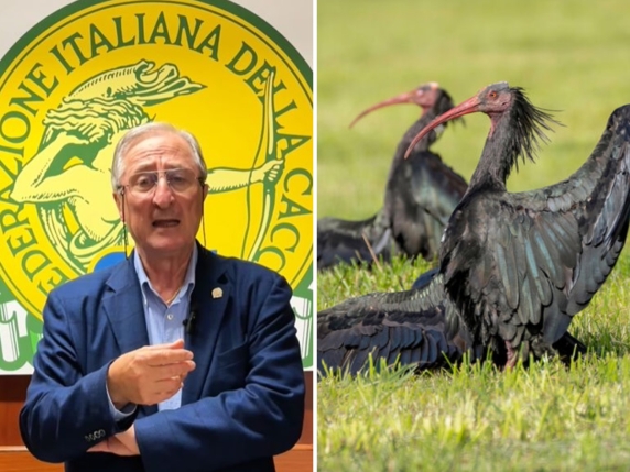 Cacciatori contro l'abbattimento degli ibis: un atto inaccettabile che danneggia la loro immagine e mina la conservazione della natura