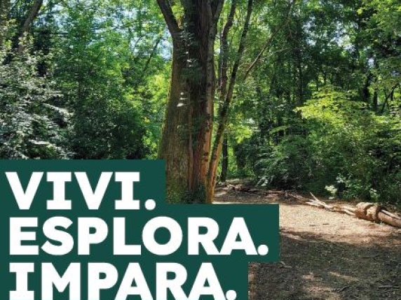 Trasformazione verde a Como: l'ex ospedale psichiatrico diventa un'oasi didattica con 1500 alberi 

Approfondimento
Il progetto di trasformazione dell'ex ospedale psichiatrico di Como in un bosco didattico rappresenta un'importante iniziativa per la valorizzazione dell'area e la promozione della sostenibilità. Questo progetto, denominato "Tapiò", offre un'opportunità unica per l'educazione ambientale e la sensibilizzazione sull'importanza della protezione dell'ambiente.

Possibili Conseguenze
La realizzazione del bosco didattico "Tapiò" potrebbe avere un impatto positivo sulla comunità locale, offrendo un luogo di apprendimento e di svago per bambini e adulti. Inoltre, contribuirà alla sensibilizzazione sull'importanza della protezione dell'ambiente e alla promozione della sostenibilità.

Opinione
Il progetto "Tapiò" sembra essere un'iniziativa meritevole, che potrebbe avere un effetto benefico sulla comunità e sull'ambiente. Tuttavia, è importante attendere la sua realizzazione e valutare i risultati per comprendere appieno il suo impatto.

Analisi Critica dei Fatti
Il progetto "Tapiò" è stato ideato dalla cooperativa sociale Arca e sarà inaugurato il 20 novembre. Il bosco didattico sarà composto da 1500 alberi e offrirà un'opportunità unica per l'educazione ambientale e la promozione della sostenibilità. La scelta di trasformare l'ex ospedale psichiatrico in un bosco didattico rappresenta un'importante svolta per la valorizzazione dell'area e la promozione della sostenibilità.

Relazioni con altri fatti
Il progetto "Tapiò" si inserisce nel contesto più ampio della valorizzazione delle aree verdi e della promozione della sostenibilità a livello locale e nazionale. Iniziative simili sono state realizzate in altre città italiane, con l'obiettivo di creare spazi di apprendimento e di svago per la comunità.

Contesto storico
L'ex ospedale psichiatrico di Como ha una storia lunga e complessa, e la sua trasformazione in un bosco didattico rappresenta un'importante svolta per la valorizzazione dell'area e la promozione della sostenibilità. La storia dell'ospedale psichiatrico è caratterizzata da momenti di grande importanza per la comunità locale, e la sua trasformazione in un bosco didattico ne rappresenta un nuovo capitolo.

Fonti
La fonte di questo articolo è il sito Corriere della Sera, che ha pubblicato un articolo sul progetto "Tapiò" e la sua inaugurazione il 20 novembre. Per ulteriori informazioni, si consiglia di visitare il sito ufficiale del progetto. Il link diretto all'articolo è https://www.corriere.it/
