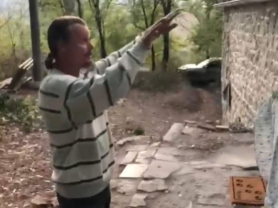 Famiglia isolata nel bosco: i diritti dei bambini e la libertà di scelta dei genitori in discussione