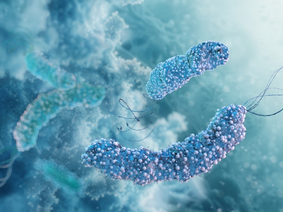 L'Helicobacter pylori: un batterio pericoloso che vive nello stomaco e può causare gravi problemi di salute