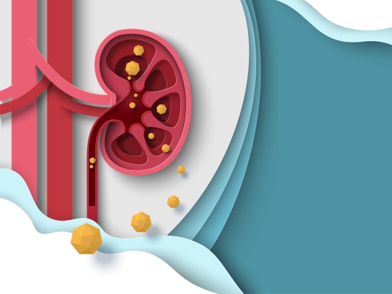 Calcoli renali e coliche renali: cause, sintomi e strategie di prevenzione per una salute renale ottimale