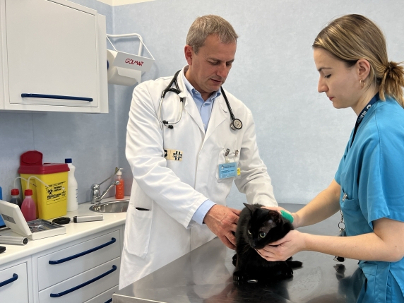 Collaborazione tra il Policlinico Gregorio VII e l'Università di Tor Vergata: un nuovo capitolo nella formazione dei veterinari del futuro