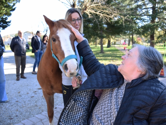 Pony nella Rsa: un progetto innovativo per il benessere degli anziani e delle persone con disabilità