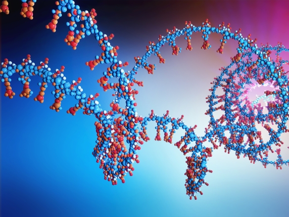 Nuove frontiere nella lotta al colesterolo: i farmaci a RNA, una rivoluzione oltre le statine