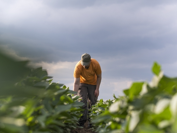 L'agricoltura del futuro: come i giovani stanno rivoluzionando il settore con nuove professioni e tecnologie
