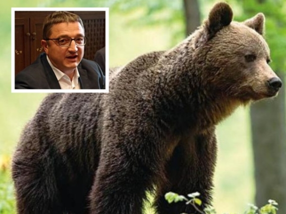 Il Caso dell'Orso M90: Il Presidente del Trentino Fugatti Sottoposto a Processo per Uccisione dell'Animale