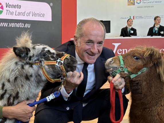 Luca Zaia Tra Ambizioni Politiche e L'Eredità Olimpica