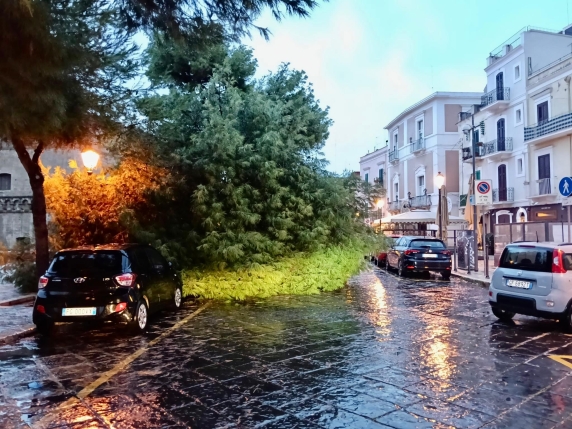 Maltempo in Puglia, temporali e bombe d'acqua: ad Adelfia crolla una strada, ad Altamura un fulmine colpisce un palazzo
