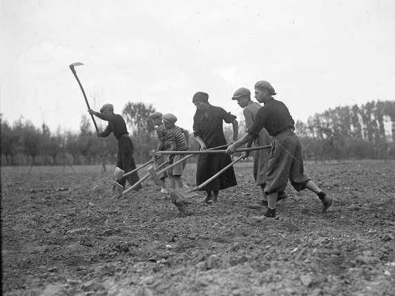 «Fare San Martino», la storia della mezzadria e del giorno (l’11 novembre) che decideva il destino dei contadini
