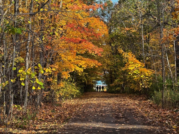 Trump Pardons Giuliani And Allies