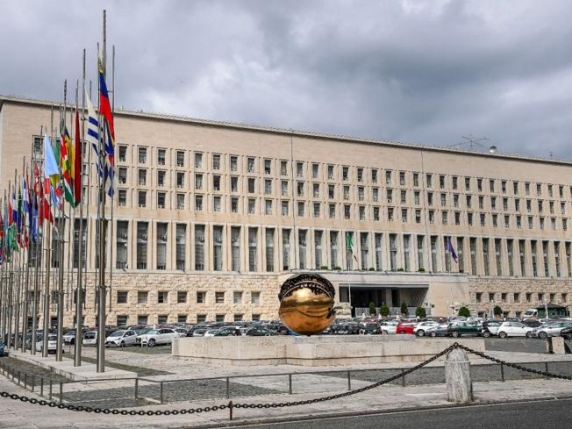 Tribunale di Torino Sblocca Visti per Studenti Iraniani: Una Vittoria per l'Istruzione e la Cooperazione Internazionale