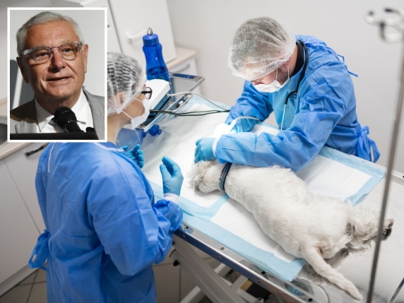 «Per noi veterinari gli animali sono vite in cura. E la nostra responsabilità è massima»